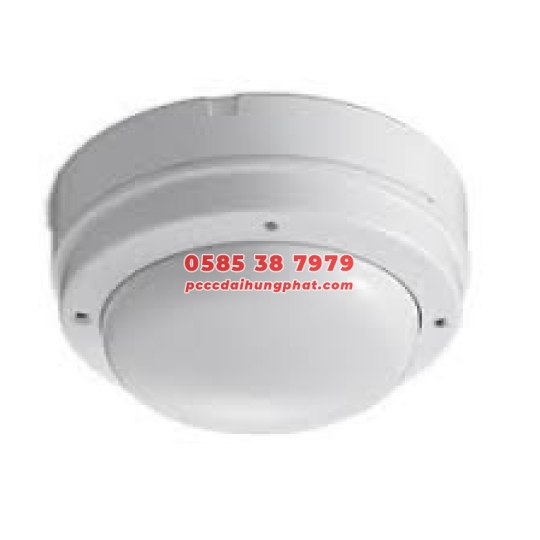 ĐẦU DÒ NHIỆT TĂNG ĐỊA CHỈ